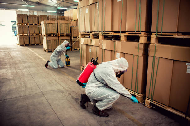 Best Exterminator Services  in Taylorvle, IL