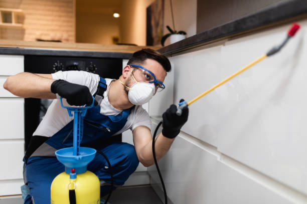 Best Cockroach Control Services  in Taylorvle, IL