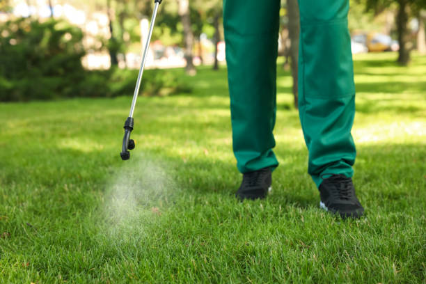 Best Bed Bug Extermination  in Taylorvle, IL