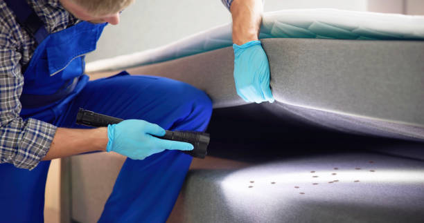 Best Flea Control Services  in Taylorvle, IL