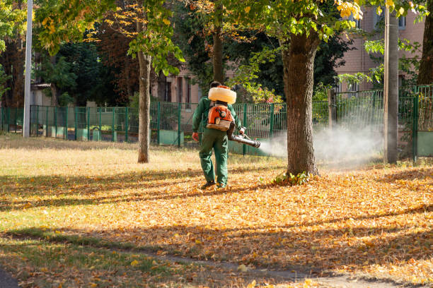 Best Wildlife Control Services  in Taylorvle, IL