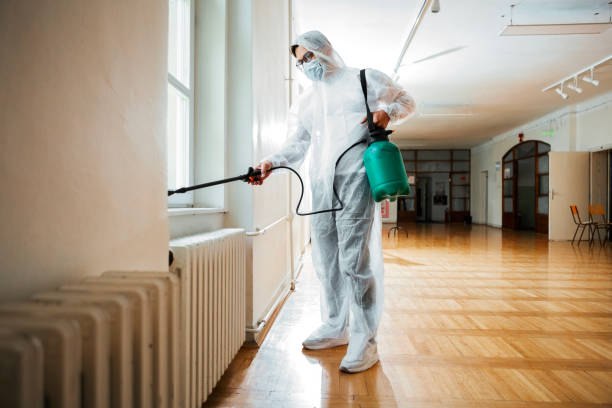 Best Insect Control  in Taylorvle, IL