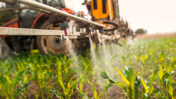 Best Pest Removal Services  in Taylorvle, IL