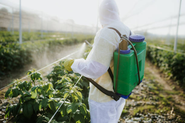 Best Best Pest Control Companies  in Taylorvle, IL